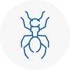 Ant Removals In Alnwick