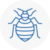 Bed Bug Extermination In Alnwick