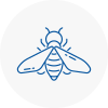 Bee Nest Removal Alnwick