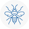 Alnwick Hornet Nest Removals