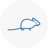 Mice Exterminators In Alnwick