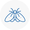 Moth Control Specialists In Alnwick