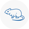 Rat Control Alnwick