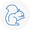 Alnwick Rodent Removals